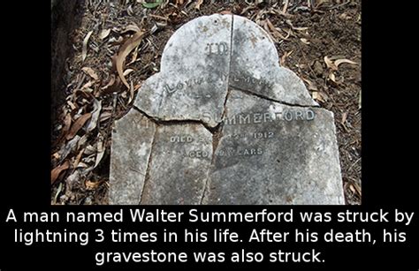 Is he going to be ok? hiruzen asked. Did you know that a man named Walter Summerford was struck ...