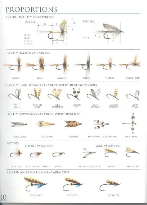 Printable Fly Size Chart