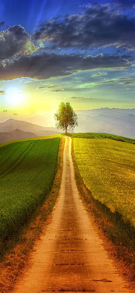 Best Iphone Wallpaper - BEST WALLPAPER FOR IPHONE