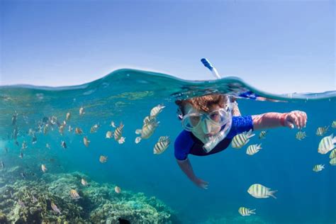 The 7 Best Places To Snorkel In The World