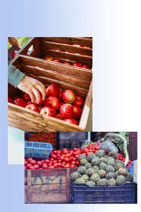 Agf ingeniería de procesos, ingeniería especializada en biogás. TellApe & AGF | Emballage voor groente, fruit en ...