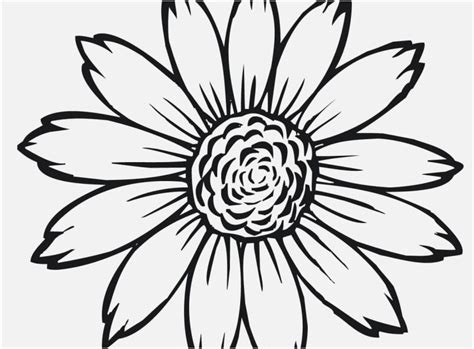 With the summer holidays here i find myself ferrying the boys here and there and having a set of colouring pages is a great way to unwind and. Sunflower Coloring Pages For Adults at GetColorings.com ...