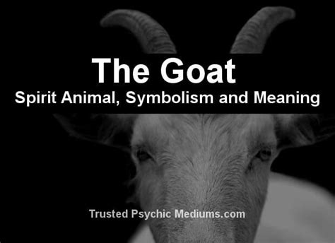 The Goat Spirit Animal A Complete Guide To Meaning And Symbolism
