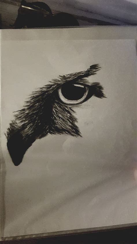 Owl Eye Tattoo Tatouage
