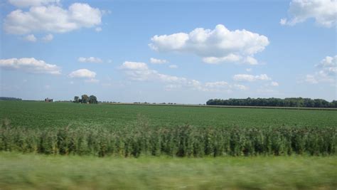 Illinois Corn Fields They Look Like Rolling Hills Of Courd Flickr