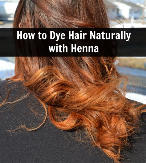 Your hair will become soft, smooth and but there are people who are also using henna for hair dye. How to Dye Hair Naturally with Henna - Driftwood Gardens ...