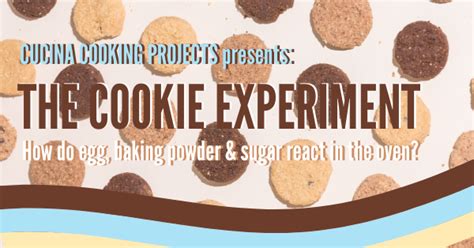 Cucina Cooking Projects The Cookie Experiment