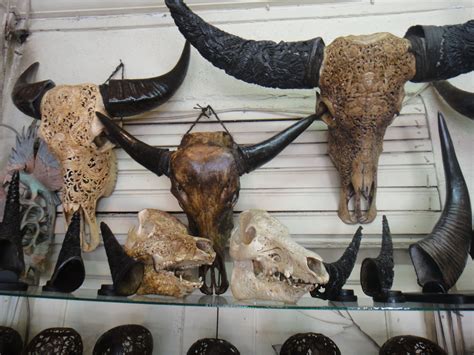 Beautiful Hand Carved Buffalo Skulls In The Village Of Ubud In Bali These Take An Entire Year To