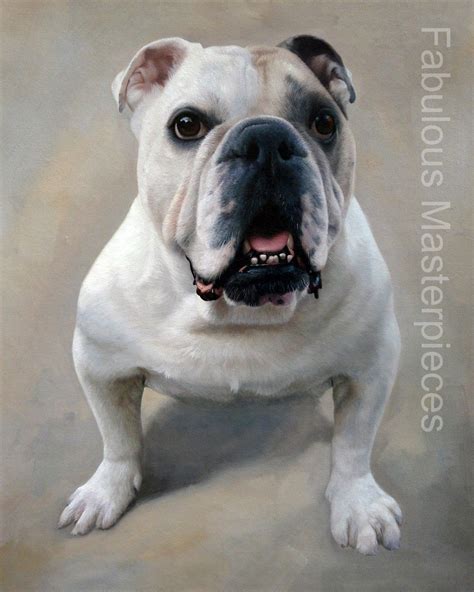 Meet Murphy The Bull Dog Hand Painted By Fabulous Masterpieces Oil On