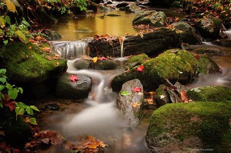 Gentle Cascades Of Autumn Thomas Schoeller Photo Art