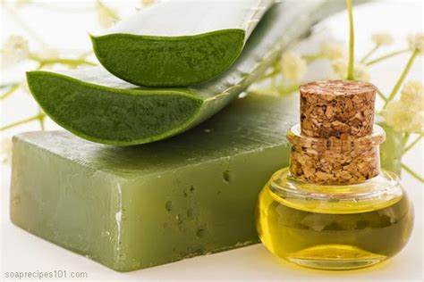 Top Inspired Aloe Vera Soap Recipe