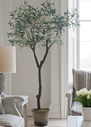 Arbequina olive trees are popular for their flavor, but their growth is second to none. Fill your home with fake flowers that are genuinely ...