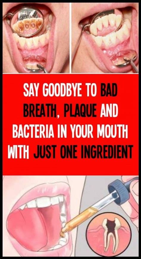say goodbye to bad breath plaque and bacteria with just one ingredient