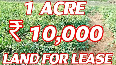 1 ACRE LAND FOR LEASE | CHEAP & BEST LEASE PURPOSE LAND | COST ACRE