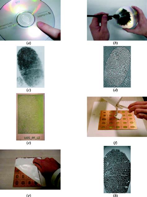 Process Followed To Generate Fake Fingerprints Without The Cooperation