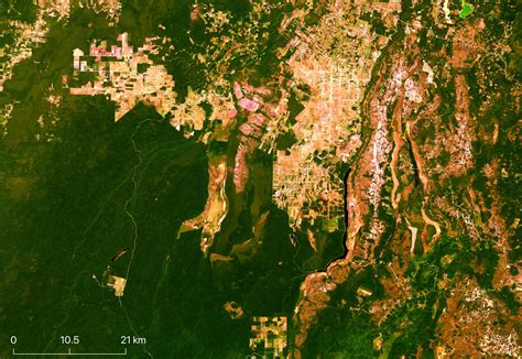 NASA Images Reveal Important Forests and Wetlands are Disappearing in
