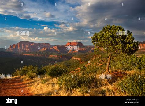 Zion National Park Sunset Utah Usa Stock Photo Alamy