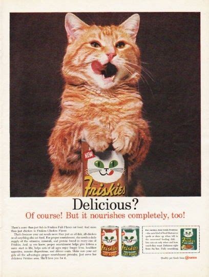 Raw pork loin can be a really good source of protein and amino acids for. This photo of this orange kitty was on the green box of ...