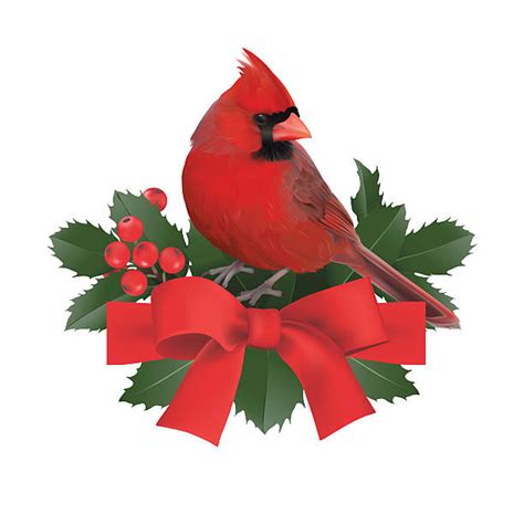 Christmas Cardinal Clipart 10 Free Cliparts Download Images On