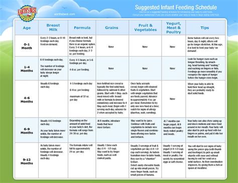 Seven months old baby food schedule. Infant Solid Food Feeding Schedule | Baby | Pinterest ...