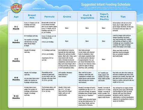 6 months baby food chart for indian in tamil. Infant Solid Food Feeding Schedule