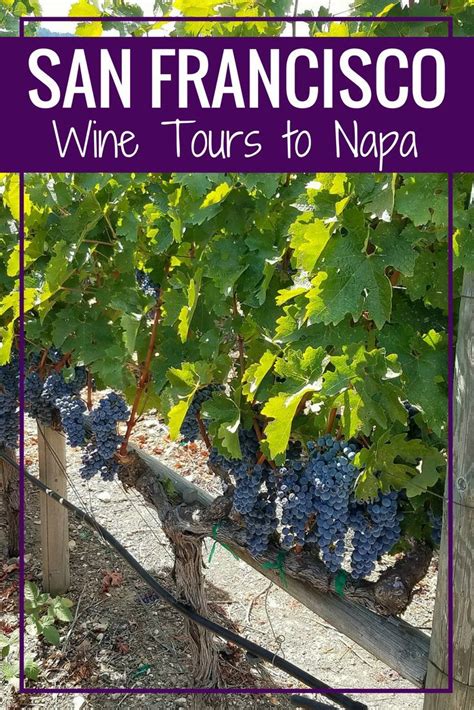 Wine Tours From San Francisco Sonoma And Napa Day Trips Wine Country
