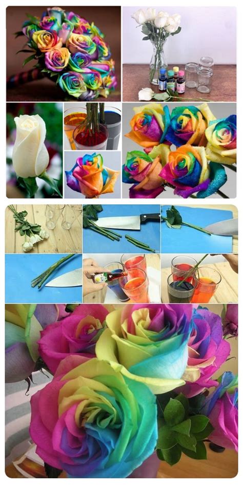 Making rainbow roses at home. How To Make Rainbow Flowers Pictures, Photos, and Images ...