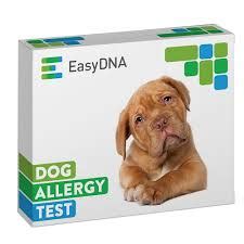 This test identifies your dog's unique sensitivity and intolerance to about 100 factors including common household products, food and environmental allergens. Best Dog Allergy Test - Top 5 Picks! (2021) We Love Doodles