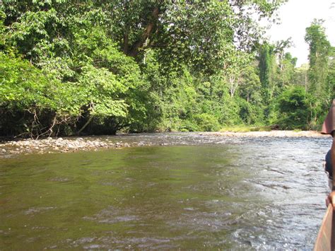 Check spelling or type a new query. Taman Negara | Lata Berkoh (Berkoh Waterfalls) - River ...