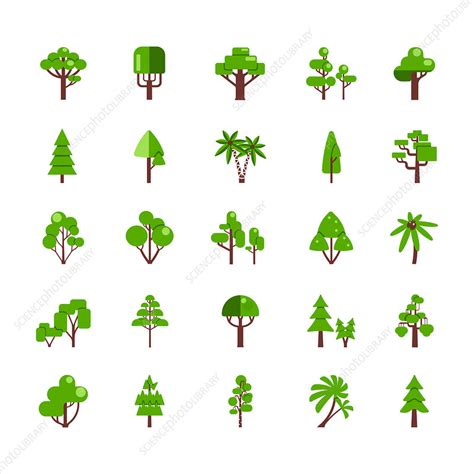 Tree Icons Illustration Stock Image F0200362 Science Photo Library