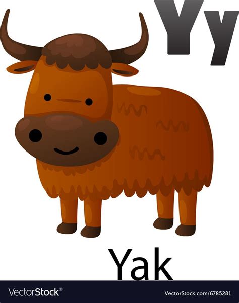 Alphabet Y With Yak Royalty Free Vector Image Vectorstock Alphabet