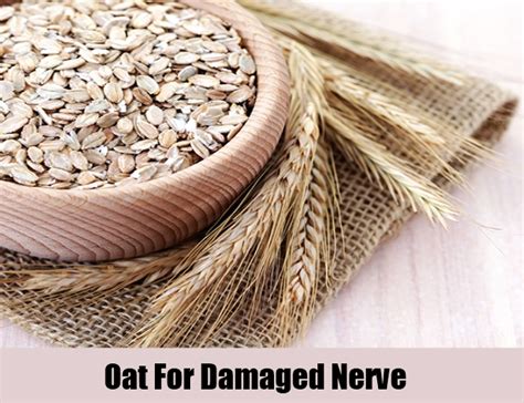 Have you ever been walking through the door with your dog as they were lagging behind a little bit. 7 Natural Cures For Nerve Damage - How To Cure Nerve ...