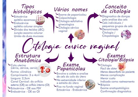 MAPA MENTAL CITOLOGIA CERVICO VAGINAL Citopatologia Cérvico vaginal