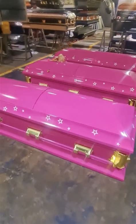 Hot Pink Barbie Themed Coffins For Sale ‘death In Plastic Its Fantastic