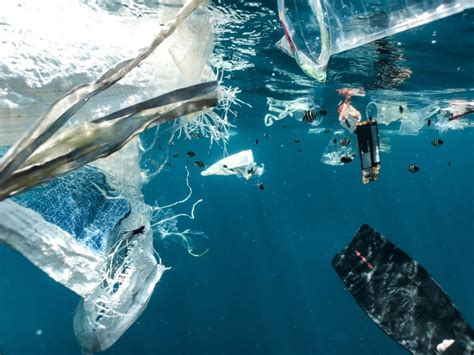 Weight Of Plastics In Seas Could Exceed That Of All Fish By 2040