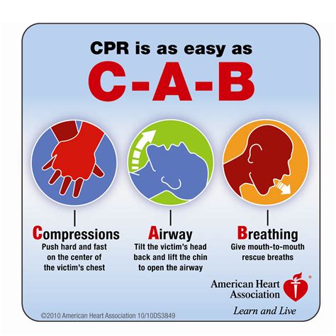 Free online cpr training | get cpr certification today! Online CPR and First Aid classes - you can order a ...