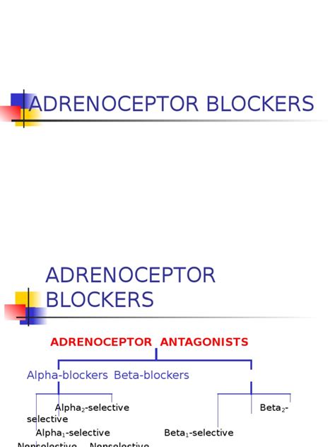 5 Adrenoceptor Blockers Pdf Neurochemistry Receptors