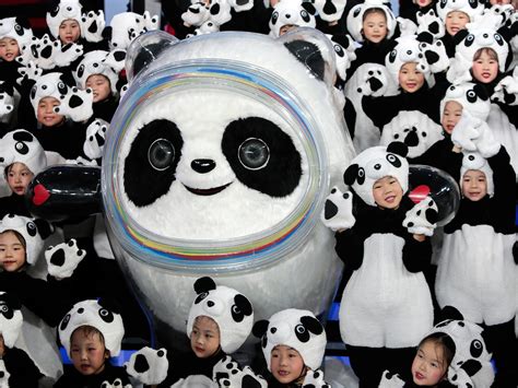 Bing Dwen Dwen A Fluffy Panda Mascot Is All The Rage At The Winter Olympics NPR
