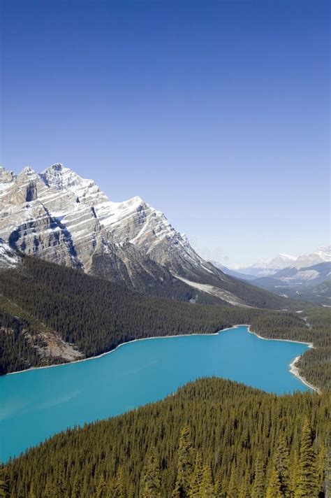 Peyto Lake Banff National Park Alberta Stock Image Image Of Jimmy