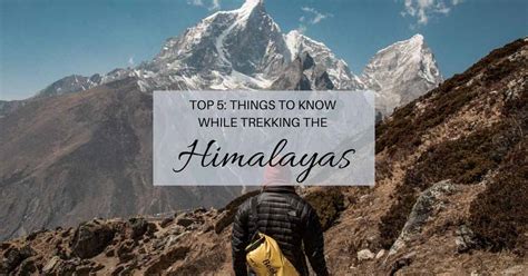 Top 5 Things To Know While Trekking In The Himalayas Desi Tripper