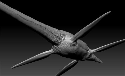 Plesiosaur Dinosaur Plesiosaurus Model Turbosquid 1313047