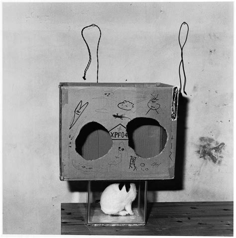 Roger Ballen Boxed Rabbit