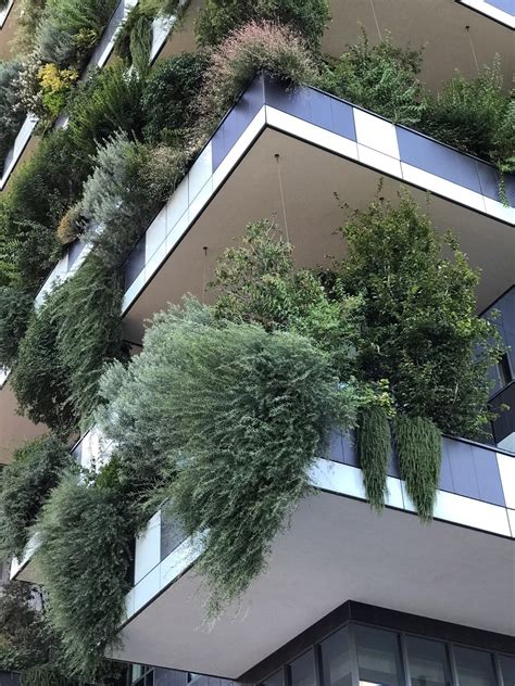 Vertical definition, being in a position or direction perpendicular to the plane of the horizon; Bosco Verticale (Vertical Forest), Milan - Greenroofs.com