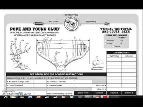 A flexible steel cable can be used to measure points and main beams only enter fractional figures in eighths without reduction. Pope and Young Scoring - YouTube