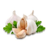Garlic has been used throughout all recorded history for both culinary and medicinal purposes. Garlic vs Ginger - In-Depth Nutrition Comparison