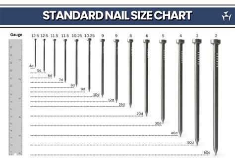 Standard Nail Size Chart And Nail Terms Pdf Design Engineering