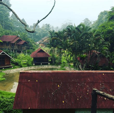Datanglah berkunjung ke suunah koruss resort ketika bercuti di janda baik. 12 Resort Bukti Janda Baik, Pahang Adalah Lokasi Percutian ...