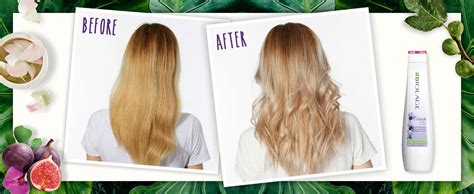 95 ($0.78/fl oz) save more with subscribe & save. Purple Shampoo: What Is It & Why Every Blonde Needs It ...