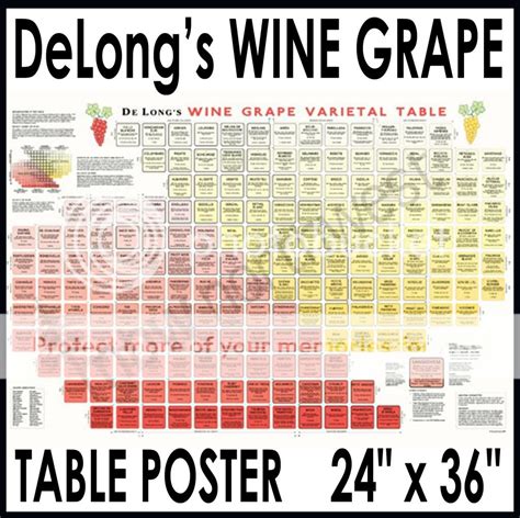 De Longs Wine Varietal Table Art Poster 24 X 36 New Ebay