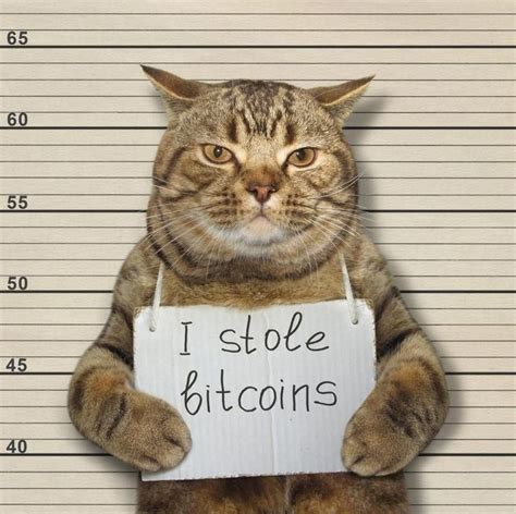 How Hackers Stole 1b From Cryptocurrency Exchanges In 2018 Funny